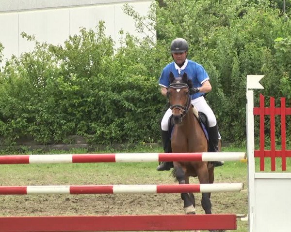 Reitturnier Schwaigern 2017