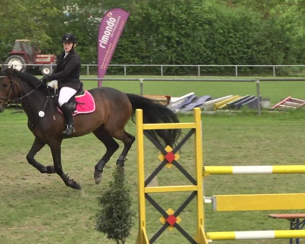 Reitturnier Schwaigern 2017