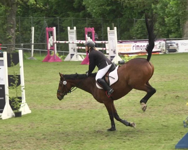 Reitturnier Schwaigern 2017
