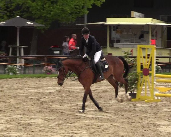 Reitturnier Halver 2017