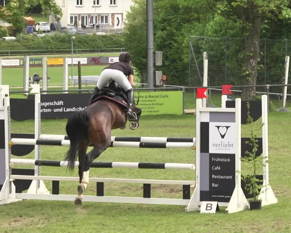 Reitturnier Schwaigern 2017