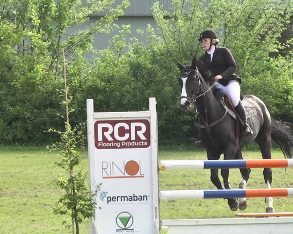 Reitturnier Schwaigern 2017