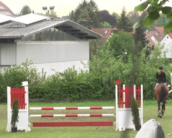 Reitturnier Schwaigern 2017