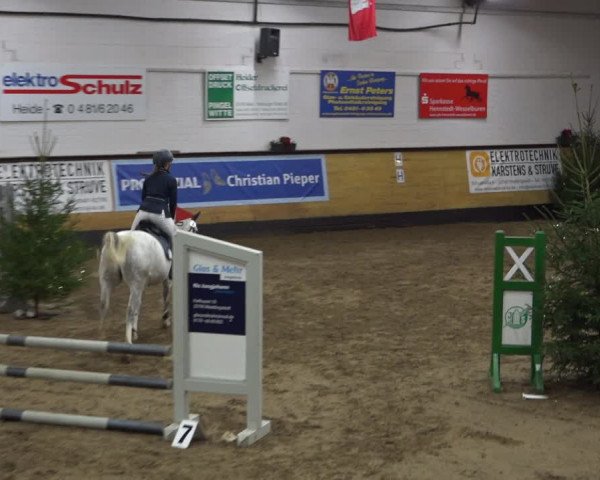Reitturnier Heide 2021