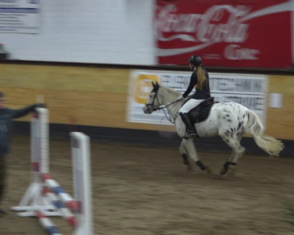 Reitturnier Heide 2021