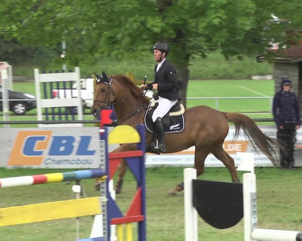 Reitturnier Schwaigern 2017