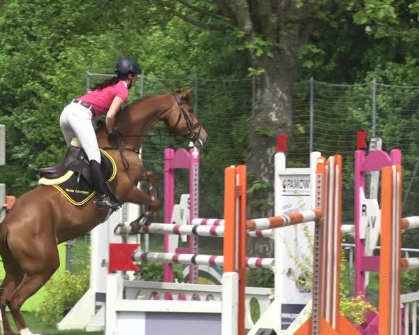 Reitturnier Schwaigern 2017