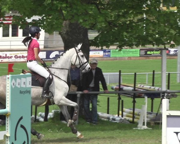Reitturnier Schwaigern 2017