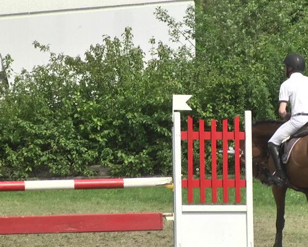 Reitturnier Schwaigern 2017