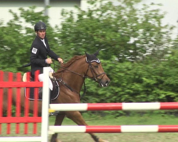 Reitturnier Schwaigern 2017