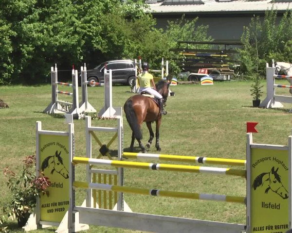 Reitturnier Schwaigern 2017