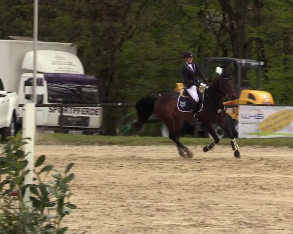 Reitturnier Halver 2017