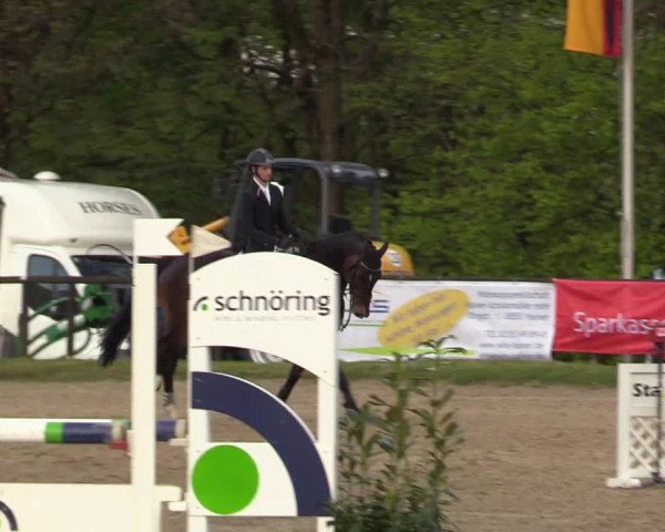 Reitturnier Halver 2017