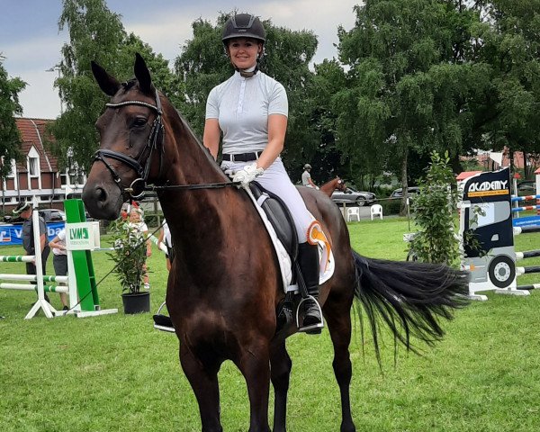 Dressurpferd Raya D. (Westfale, 2015, von Rock Forever NRW)