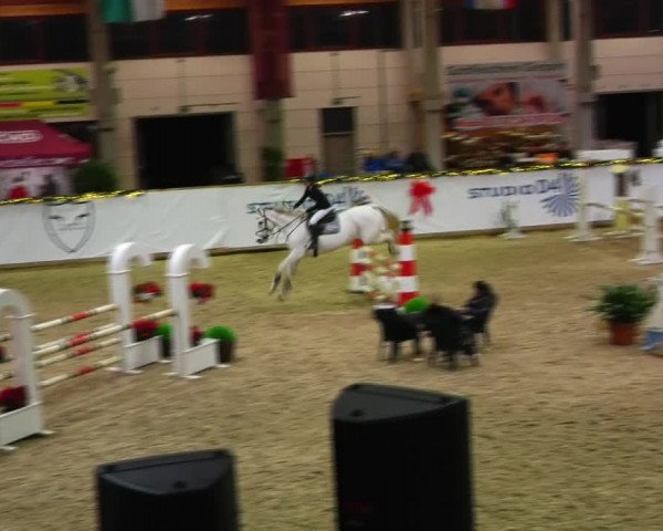 Christmas Jumping Trophy Prussendorf 2021