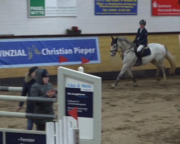 Reitturnier Heide 2021