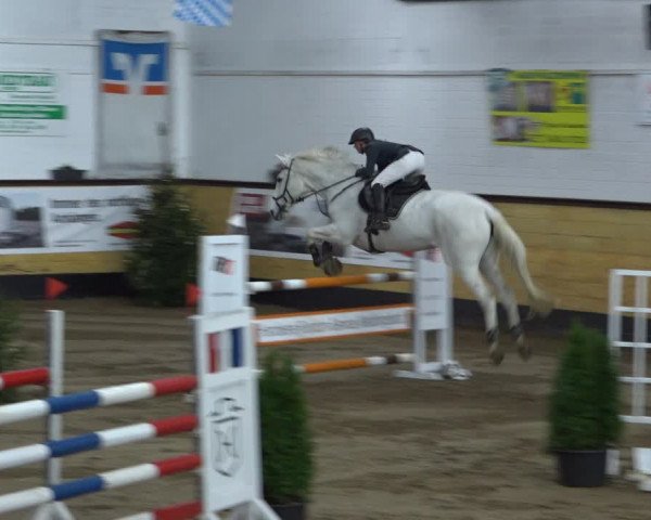 Reitturnier Heide 2021
