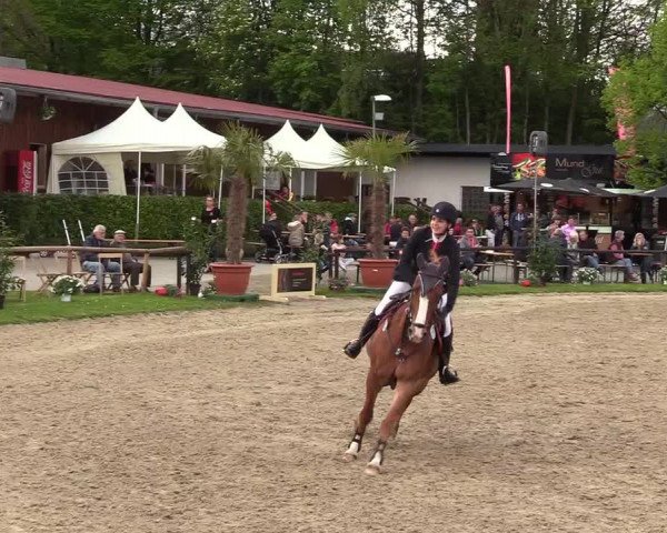 Reitturnier Halver 2017