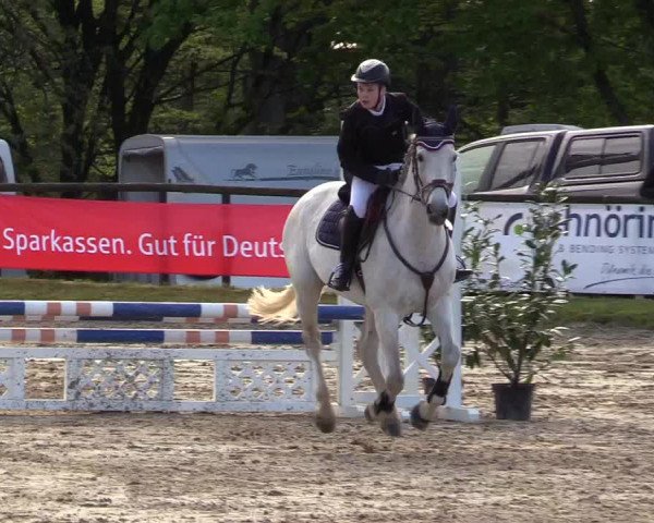 Reitturnier Halver 2017