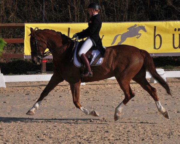 jumper Oxyle de Meuyrattes CH (Swiss Warmblood, 2004, from Florestan I)