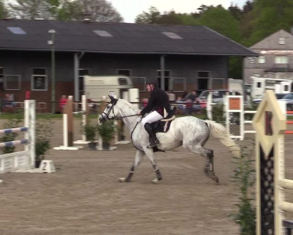 Reitturnier Halver 2017