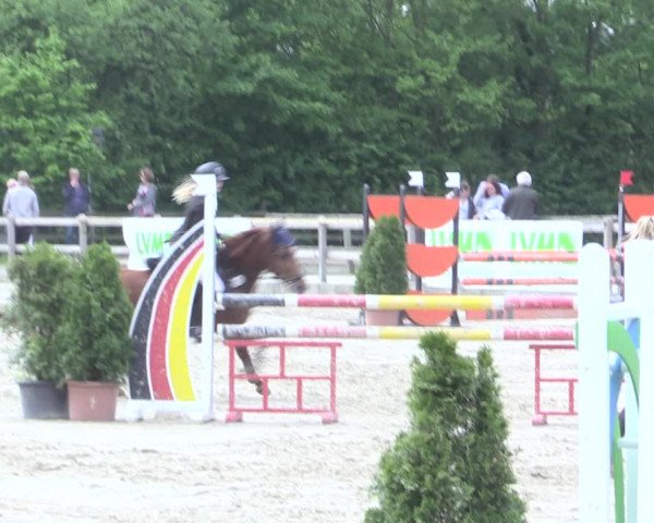 Reitturnier Nienberge 2017