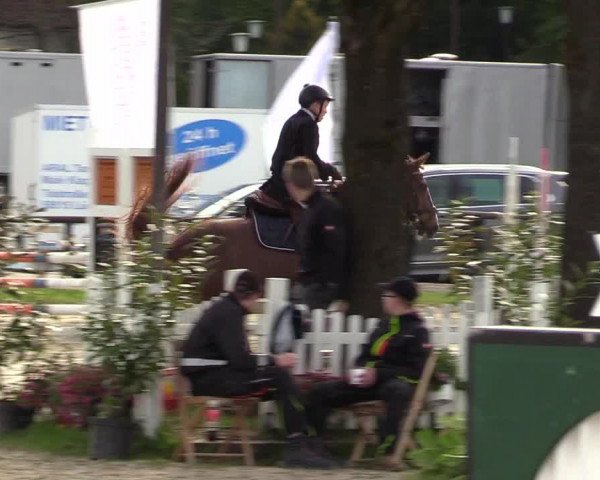 Reitturnier Halver 2017