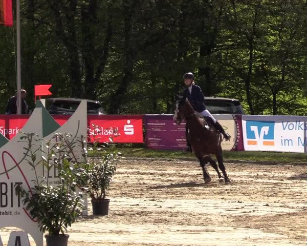 Reitturnier Halver 2017