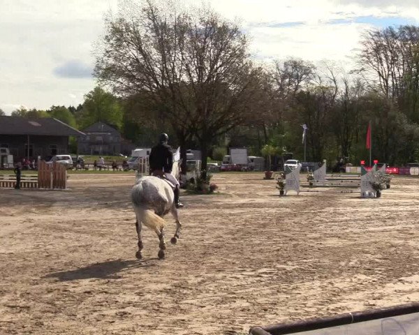 Reitturnier Halver 2017