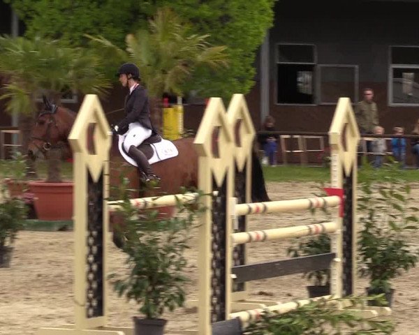 Reitturnier Halver 2017
