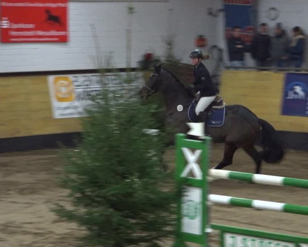 Reitturnier Heide 2021