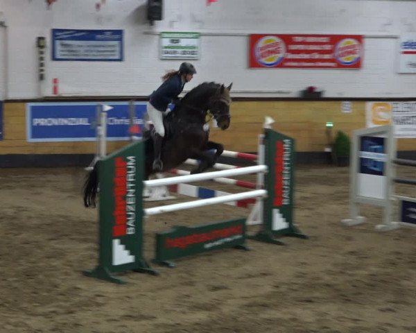 Reitturnier Heide 2021