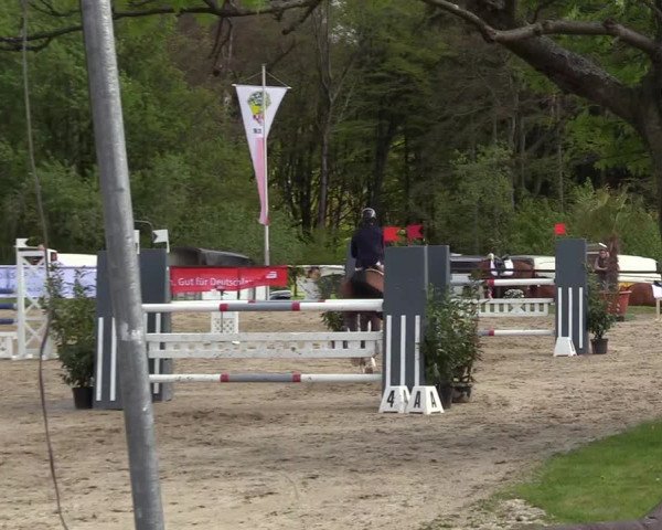 Reitturnier Halver 2017