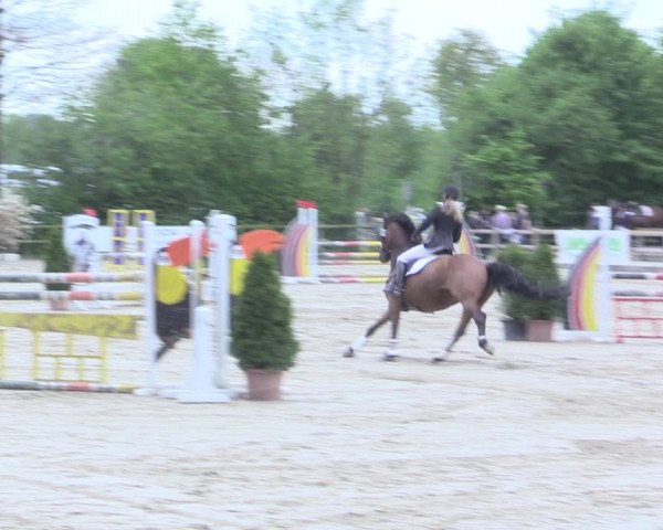 Reitturnier Nienberge 2017