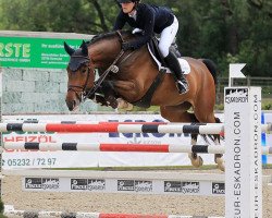 jumper Clinaro 2 (Hanoverian, 2009, from Clinton I)