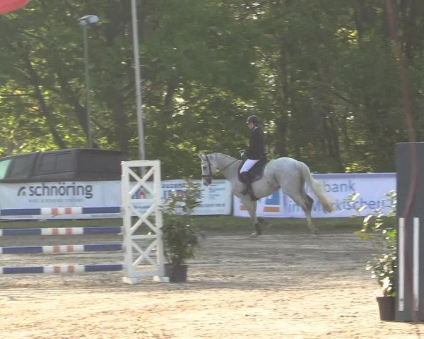 Reitturnier Halver 2017