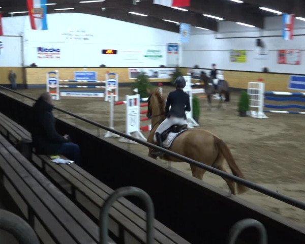Reitturnier Heide 2021
