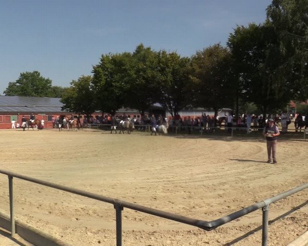 Reitturnier Ascheberg 2021
