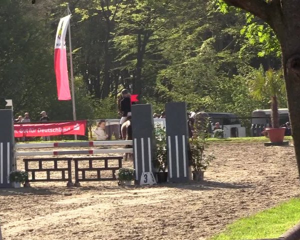 Reitturnier Halver 2017
