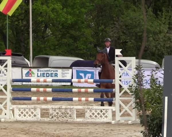 Reitturnier Halver 2017