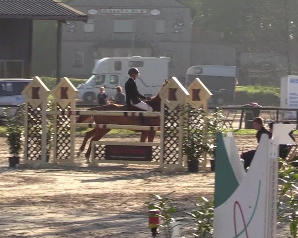 Reitturnier Halver 2017