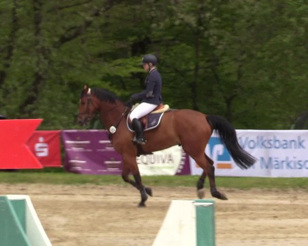 Reitturnier Halver 2017