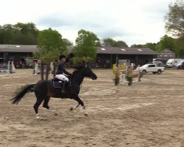 Reitturnier Halver 2017