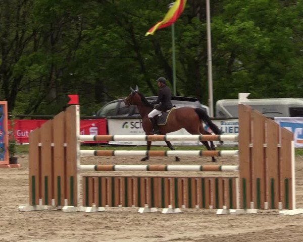 Reitturnier Halver 2017