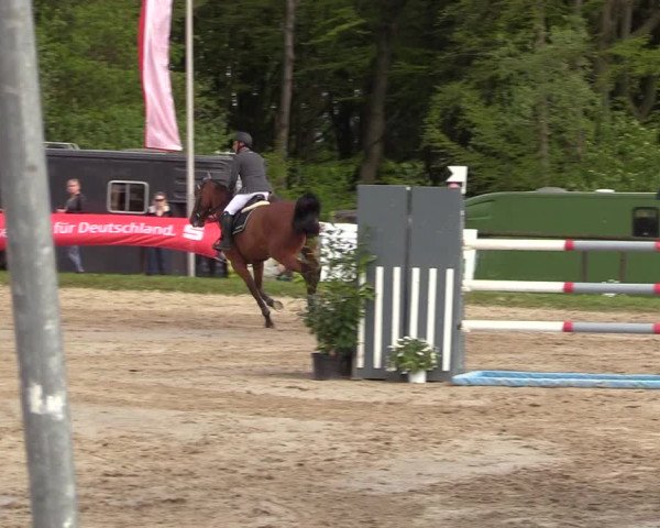 Reitturnier Halver 2017