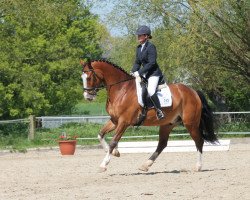 dressage horse Legolas 191 (Westphalian, 2011, from Lissaro)