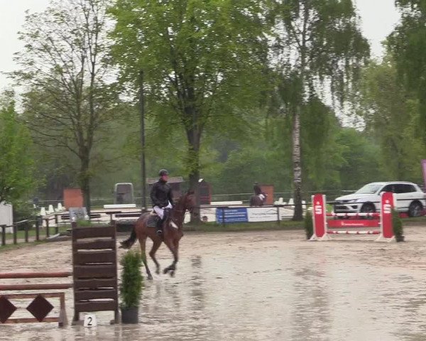 Reitturnier Ahlen 2017