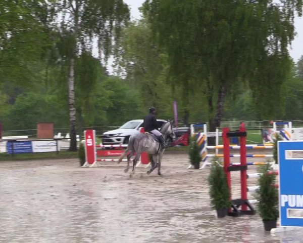 Reitturnier Ahlen 2017