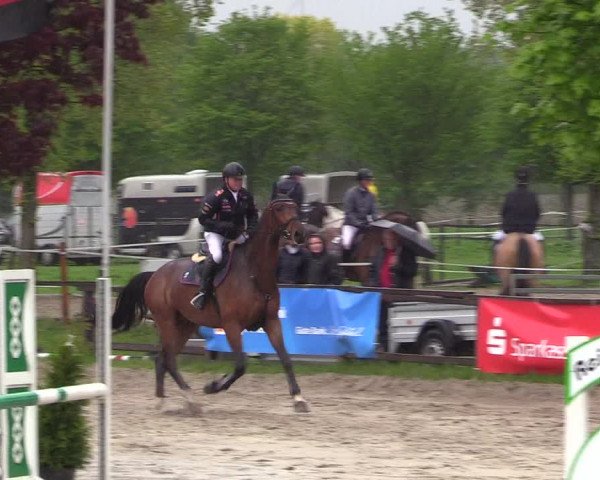Reitturnier Ahlen 2017