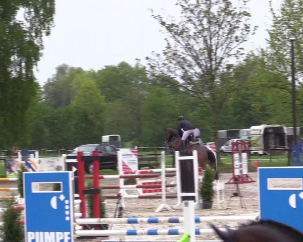 Reitturnier Ahlen 2017
